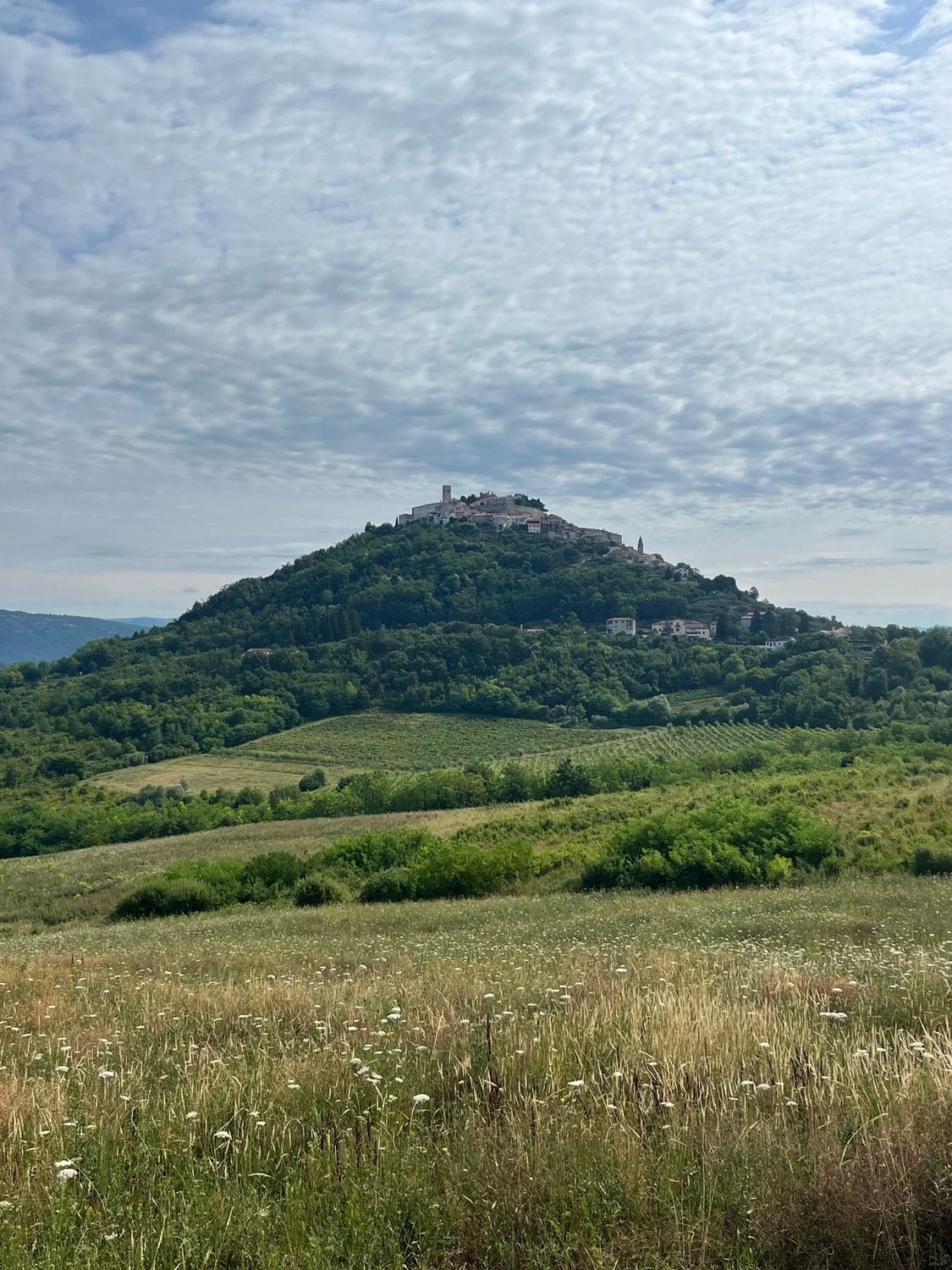 Blick von der Parzelle in Richtung Motovun